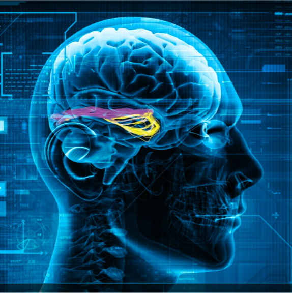 10th International Symposium Medical Information and Communication Technology